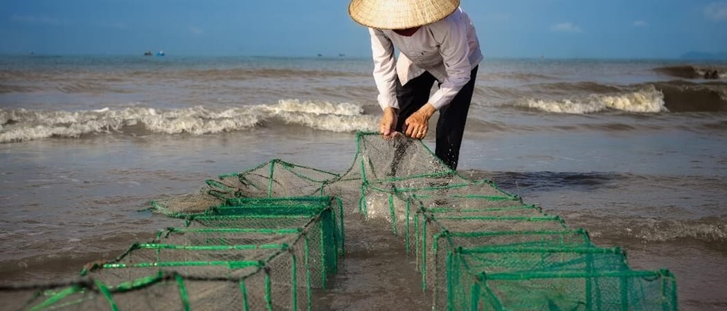 Quy Nhon
