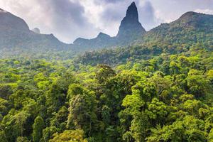 Rainforest And Peak Sao Tome Principe Rainforest And Peak Sao Tome Principe