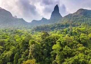 Rainforest And Peak  Sao  Tome  Principe