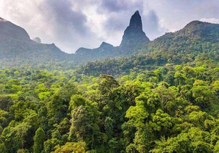 Rainforest And Peak  Sao  Tome  Principe Rainforest And Peak  Sao  Tome  Principe