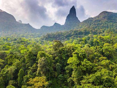Rainforest And Peak Sao Tome Principe Rainforest And Peak Sao Tome Principe