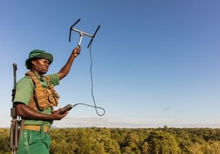 Ranger With Telemetry Equipment Cr Marcus Westberg 3 Ranger With Telemetry Equipment Cr Marcus Westberg 3