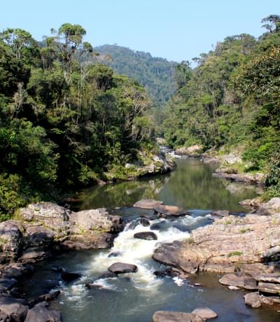 Ranomafana Park River