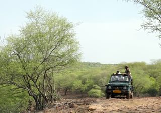 Ranthambore Jeep Safari