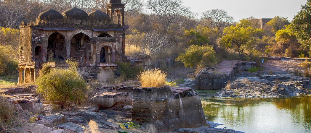 Ranthambore  National  Park Ruins