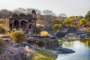 Ranthambore  National  Park Ruins