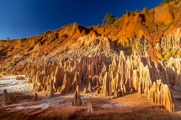 Red Tsingy In Madagascar Red Tsingy In Madagascar