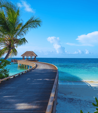 Referral webpage SP Referral image 1125 x 1300 px Referral webpage SP Referral image 1125 x 1300 px