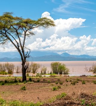Resized Lake Abaya Near Arba Minch Resized Lake Abaya Near Arba Minch