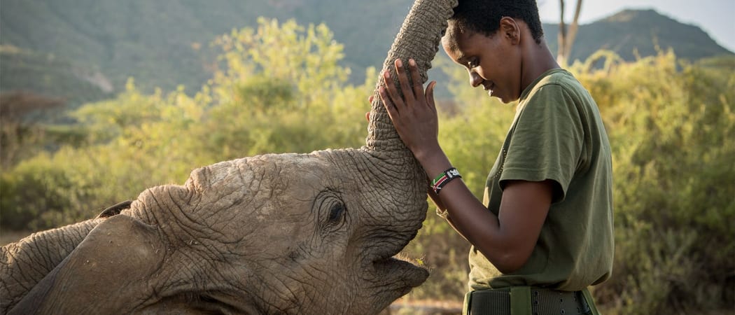 Reteti elephant orphanage jpg 2