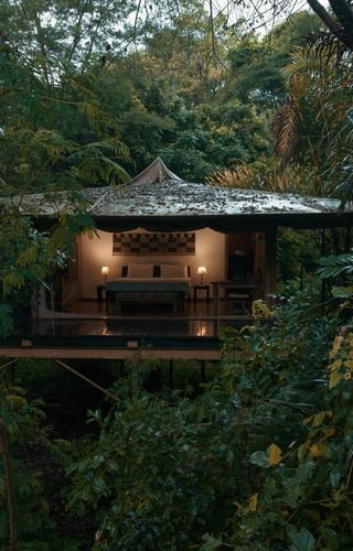 Rhino River camp view Rhino River camp view