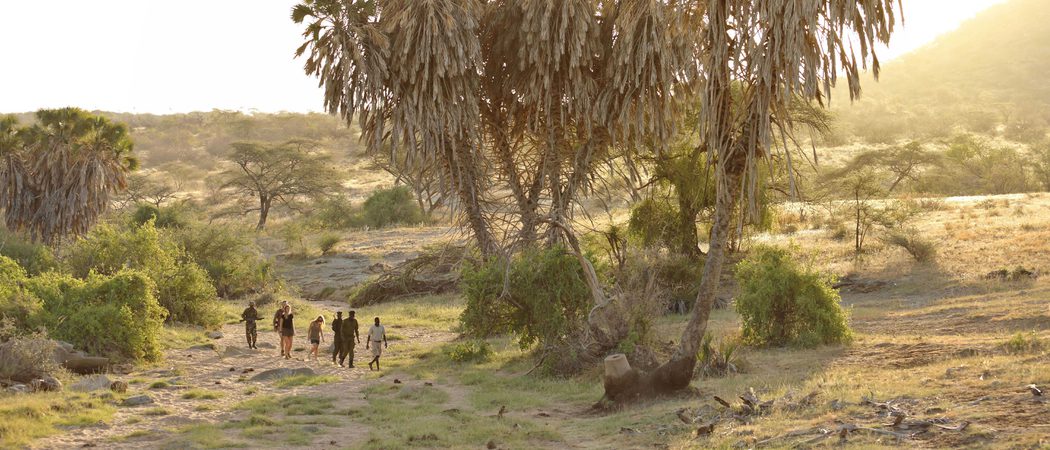 Rhino Tracking With Saruni In Sera Conservancy