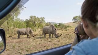 Rhino At Hluhluwe Imfolozi National Park