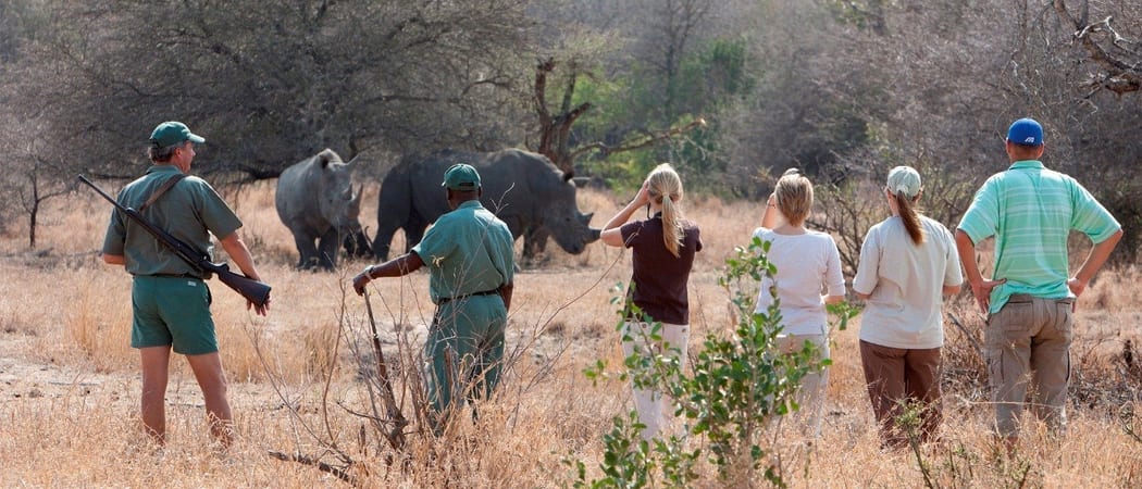 Rhinos In Damaraland