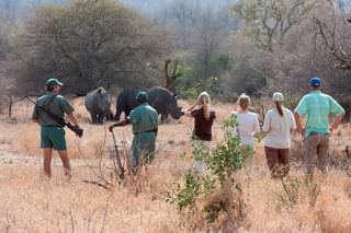 Rhinos In Damaraland