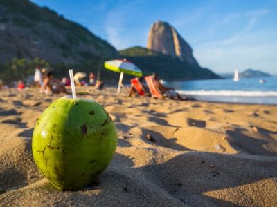 Rio coconut on the beach Brazil Rio coconut on the beach Brazil