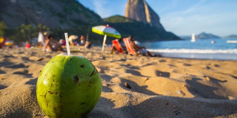 Rio coconut on the beach Brazil Rio coconut on the beach Brazil