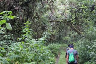 Route up to Ngozi Crater Lake