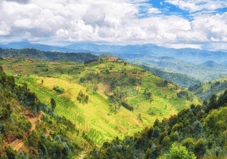 Rural Landscape Rwanda Canva Pro Rural Landscape Rwanda Canva Pro