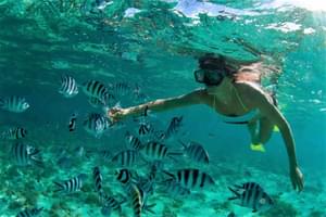 Snorkelling  Nr  Nosy  Be  Nos  Tourismoffice