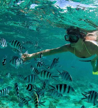 Snorkelling Near Nosy Be Snorkelling Near Nosy Be
