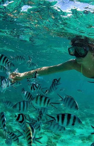 Snorkelling Near Nosy Be