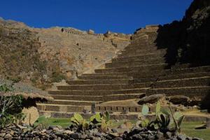 Sacred Valley Steps