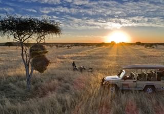 Safari House Safari House