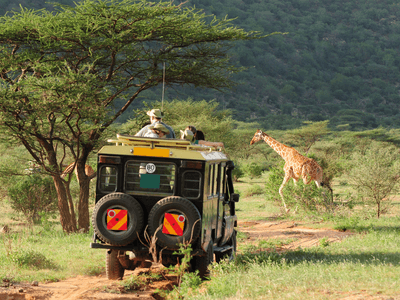 Safari in Kenya Canva Pro Safari in Kenya Canva Pro