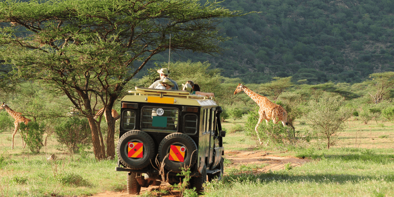 Safari in Kenya Canva Pro Safari in Kenya Canva Pro
