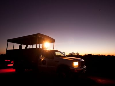 Safari style South Pantanal Ideia Safari style South Pantanal Ideia