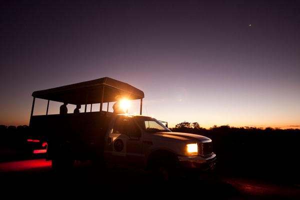 Safari style South Pantanal Ideia Safari style South Pantanal Ideia