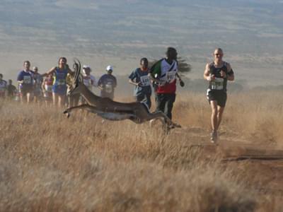 Wild Antelope Joins 