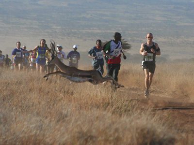 Wild Antelope Joins  Wild Antelope Joins
