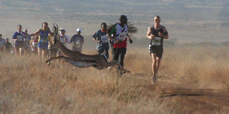 Wild Antelope Joins Wild Antelope Joins