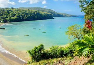 Saint Lucia Caribbean Canva Pro Saint Lucia Caribbean Canva Pro