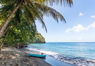 Saint Vincent Saint Vincent and the Grenadines Fisherman in wallilabou bay Canva Pro Saint Vincent Saint Vincent and the Grenadines Fisherman in wallilabou bay Canva Pro