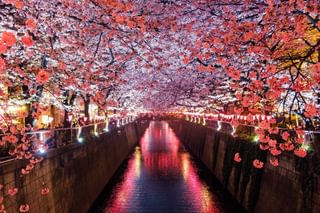 Sakru Meguro River Matsuno Japan min Sakru Meguro River Matsuno Japan min