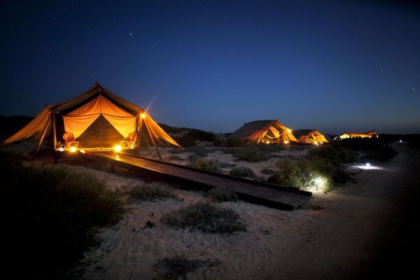 Sal Salis at night Sal Salis at night