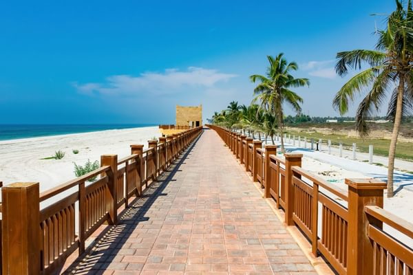 Salalah Dhofar Oman Beach canva pro Salalah Dhofar Oman Beach canva pro