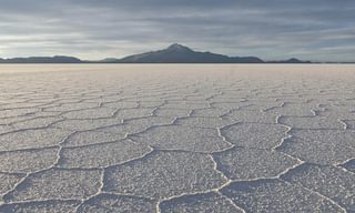 Salar white Salar white