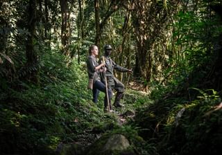 Sanctuary Gorilla Forest Camp Gorilla Tracking Sanctuary Gorilla Forest Camp Gorilla Tracking