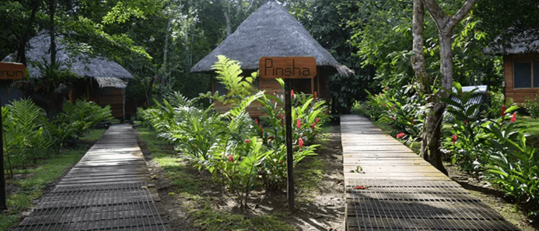 Sani Lodge walkways Ecuador