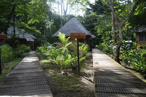 Sani Lodge walkways