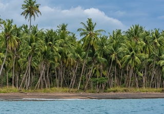 Sao Tome and Principe Canva Pro Sao Tome and Principe Canva Pro