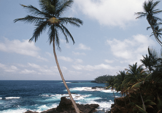 Sao Tome and Principe coastline Canva Pro Sao Tome and Principe coastline Canva Pro
