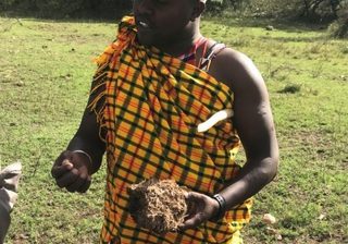 Saruni Mara Guide Dixon Saruni Mara Guide Dixon