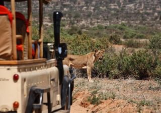 Saruni Samburu Game Drive Saruni Samburu Game Drive