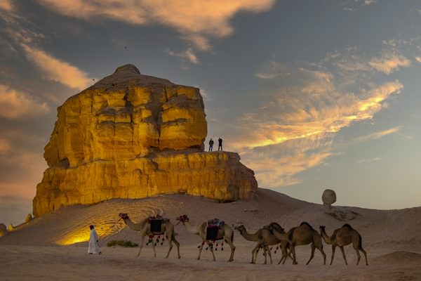 Saudi Al Ahsa Saudi Al Ahsa