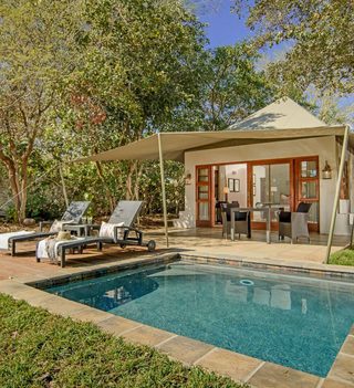 Savanna  Luxury  Suite Savanna  Luxury  Suite